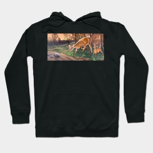 Porcupines on the Path Hoodie